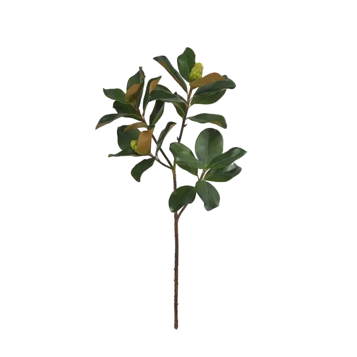 44" Magnolia Leaf Branch