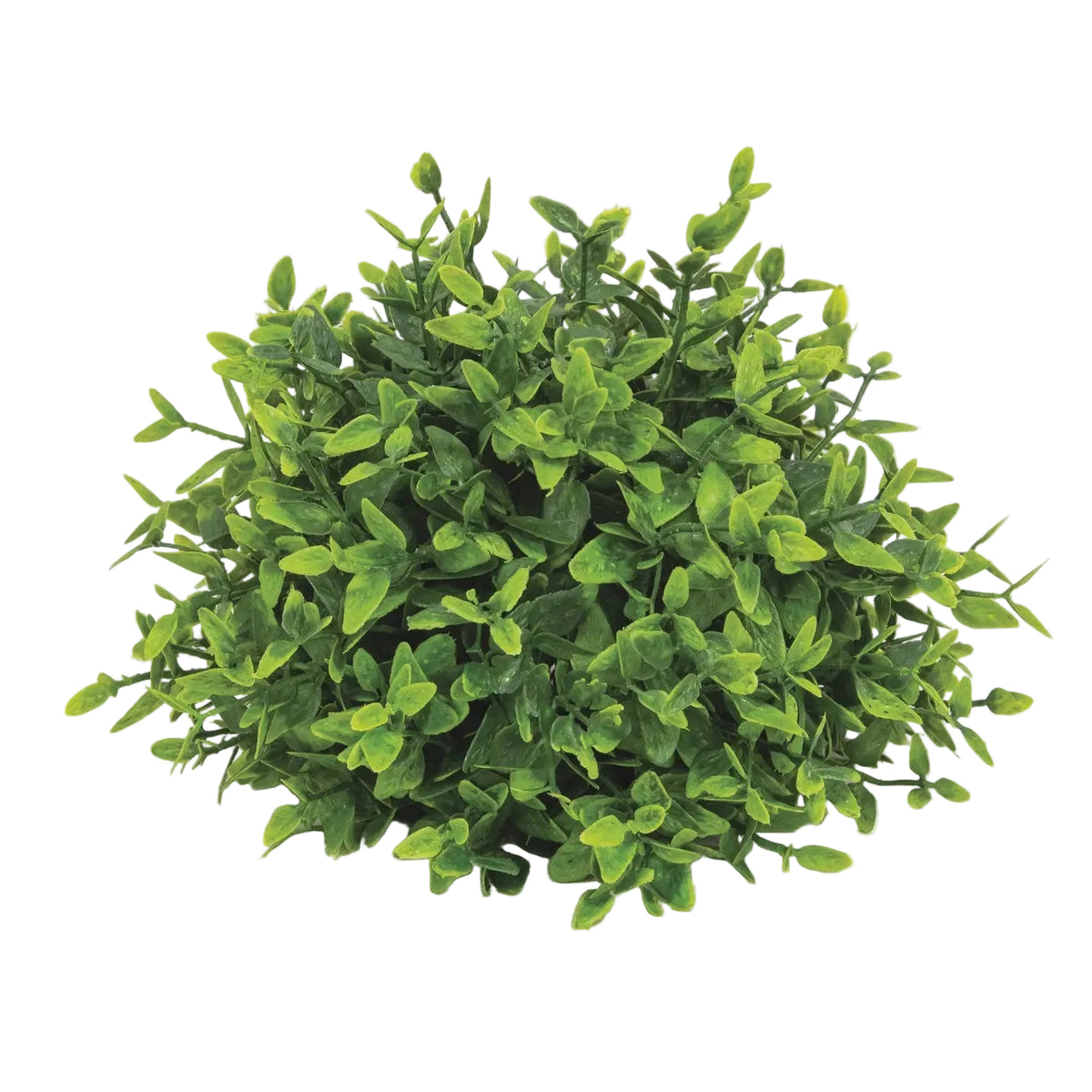 Lush Green Lemon Beauty Half Sphere – 6.5"