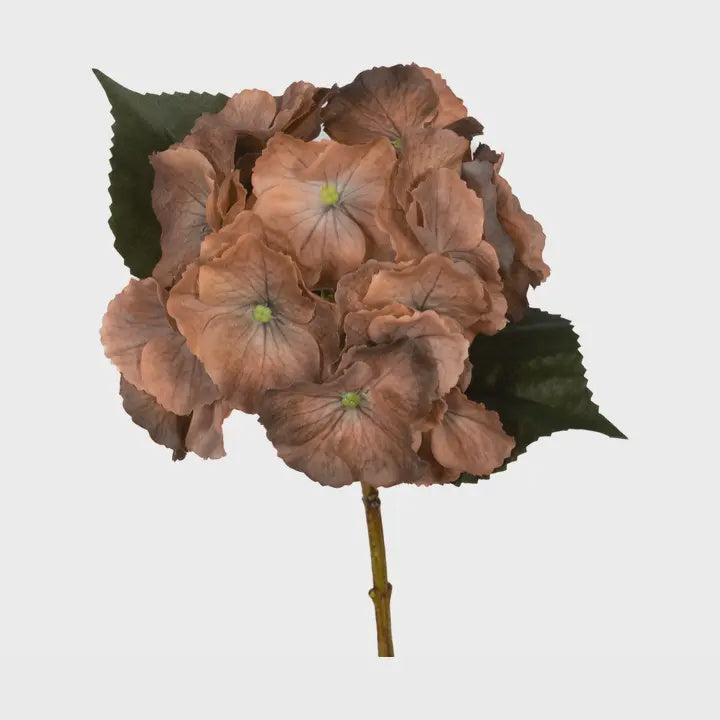 14" Gold Honey Real Touch Hydrangea Stem
