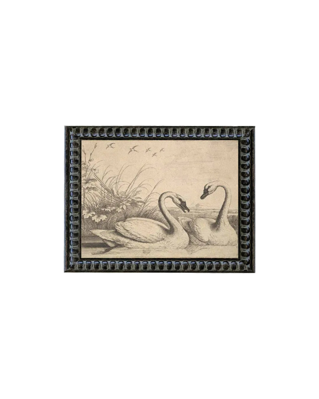 Two Swans Framed Antique Art: 10x8