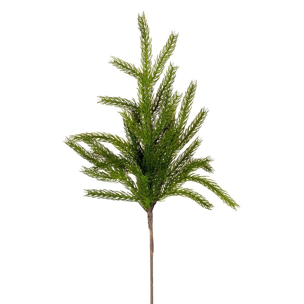24" Green Norfolk Pine Spray
