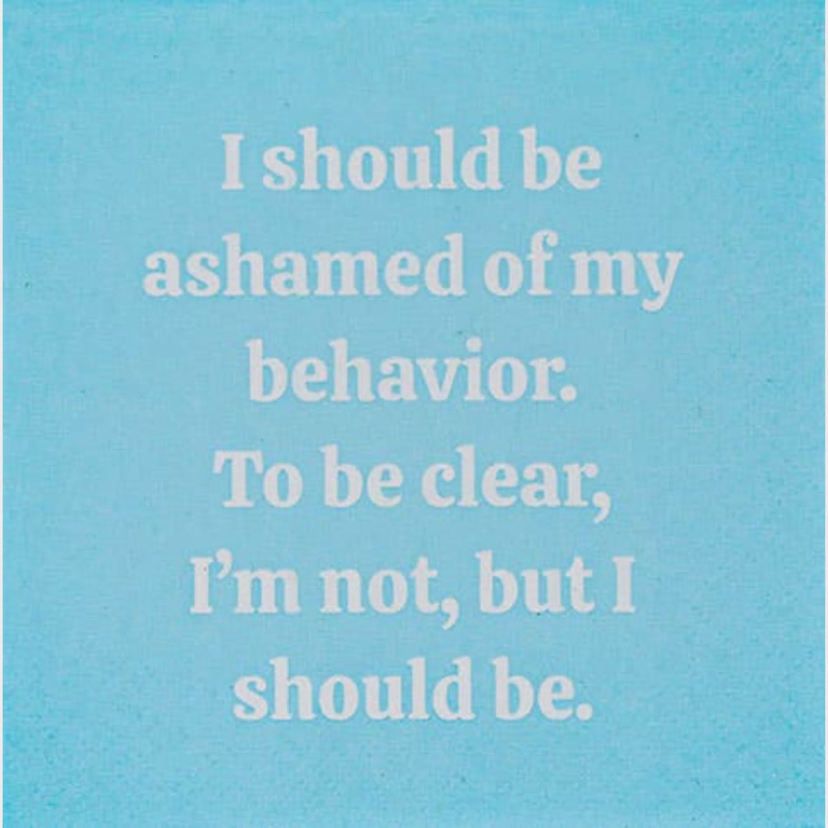 I Should Be Ashamed Cocktail Napkins