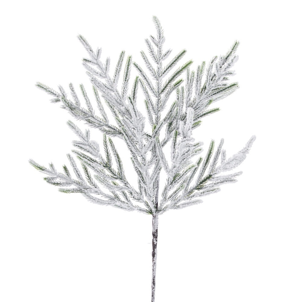 24" Frosted Norfolk Pine Spray