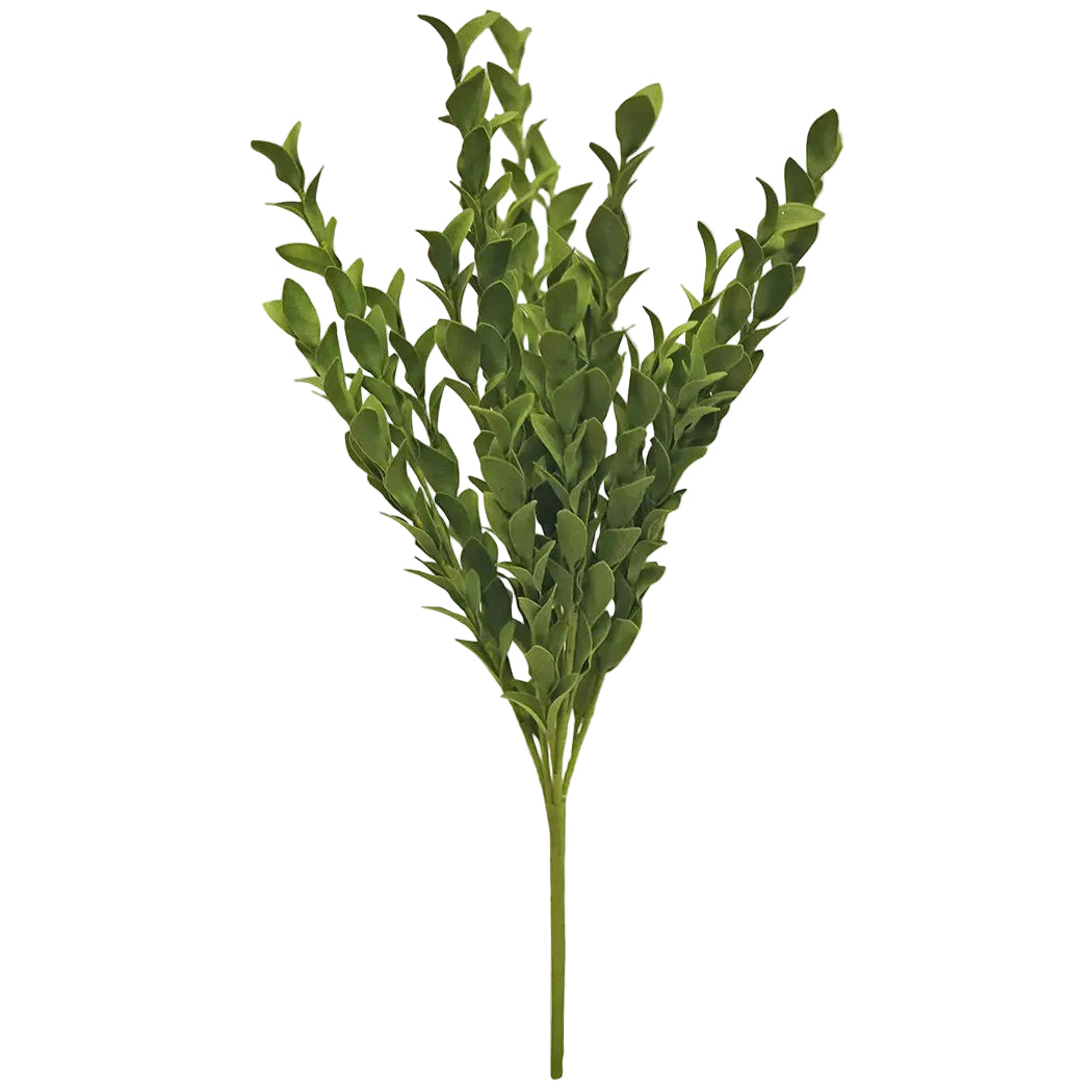 Boxwood Medium Pick