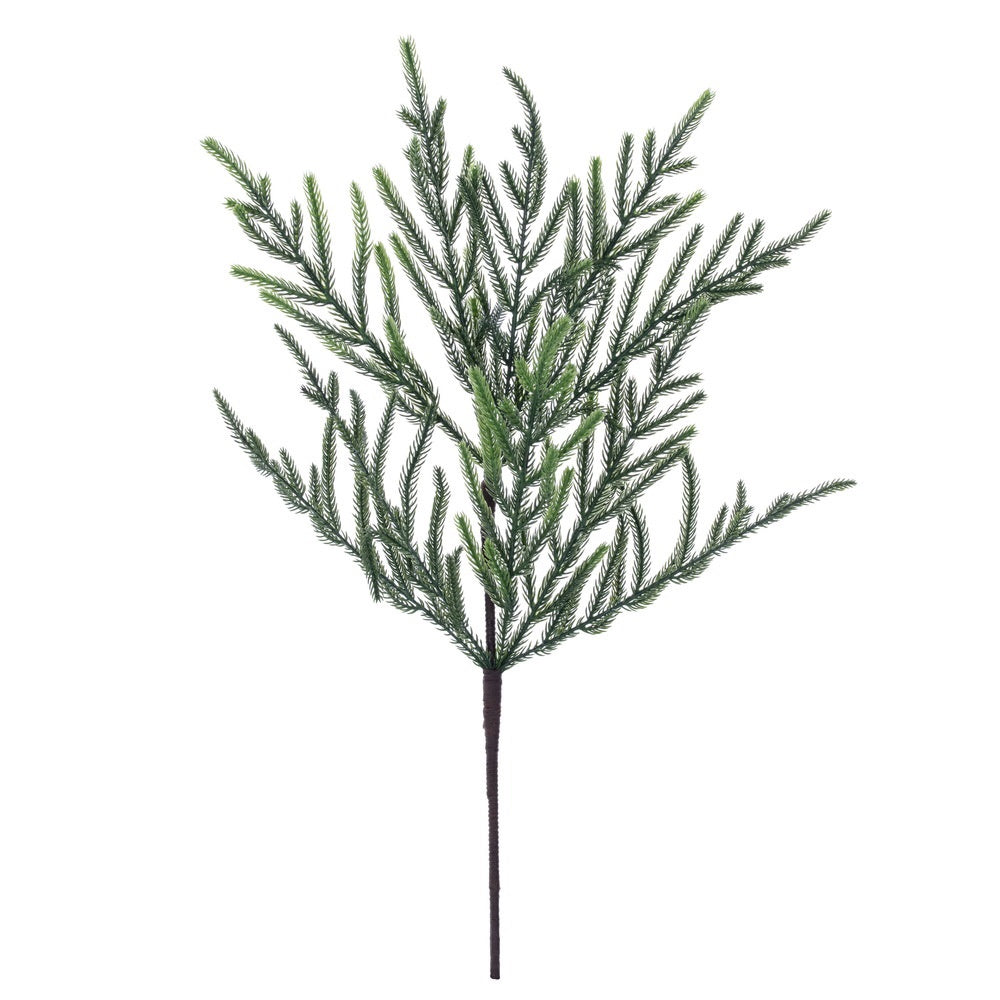 24" Norfolk Pine Spray