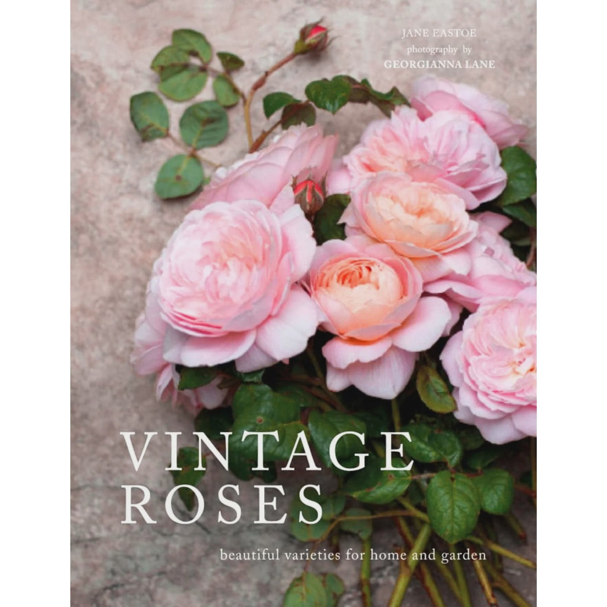 Vintage Roses: Beautiful Varieties for Home & Garden