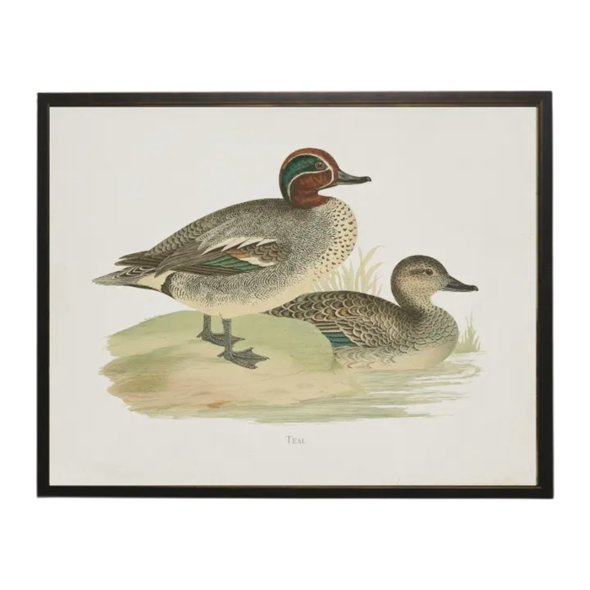 10" x 8" Framed Teal Duck Bookplate Print