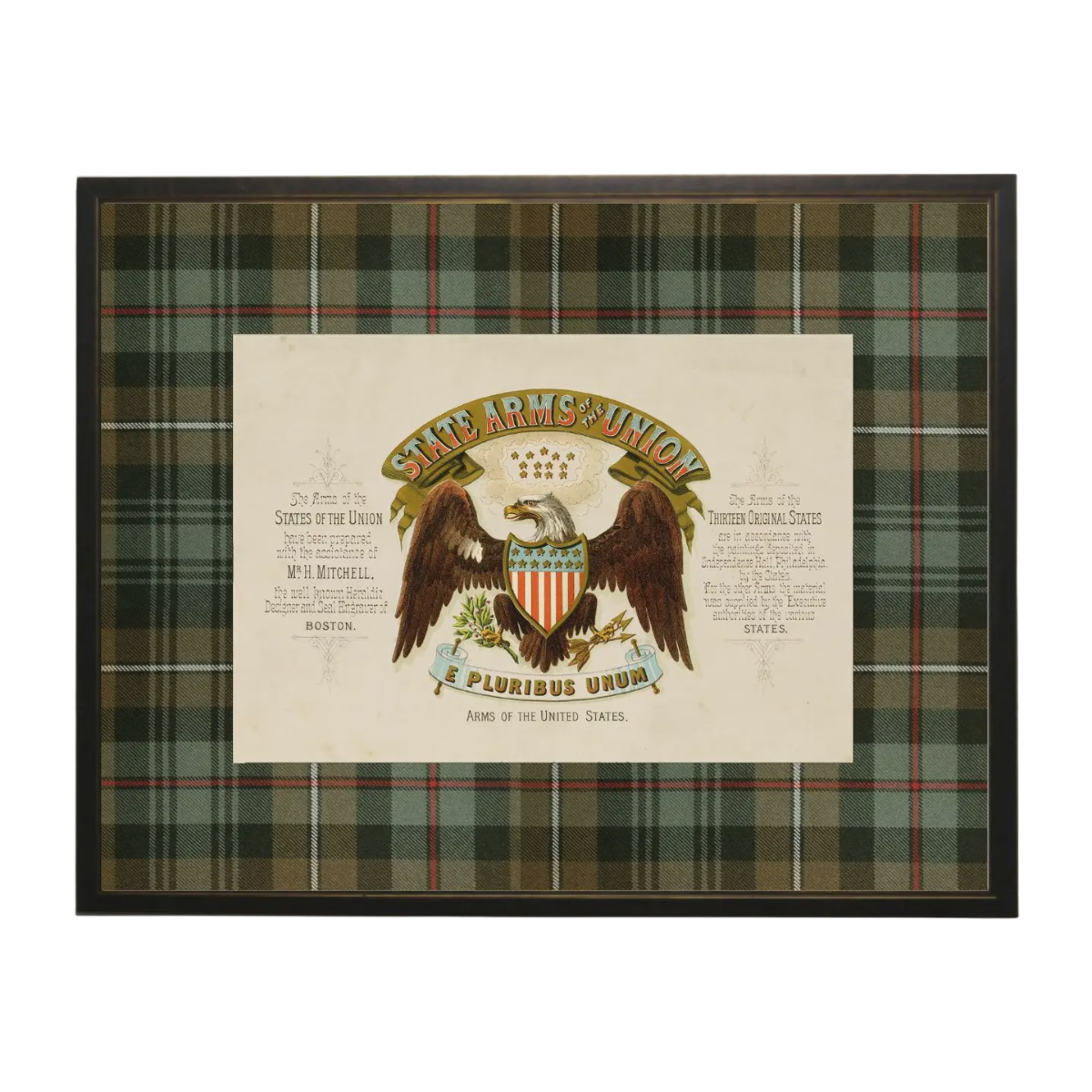 10" x 8" Eagle & 13 Colonies Matted Print in Brown & Green Tartan Frame