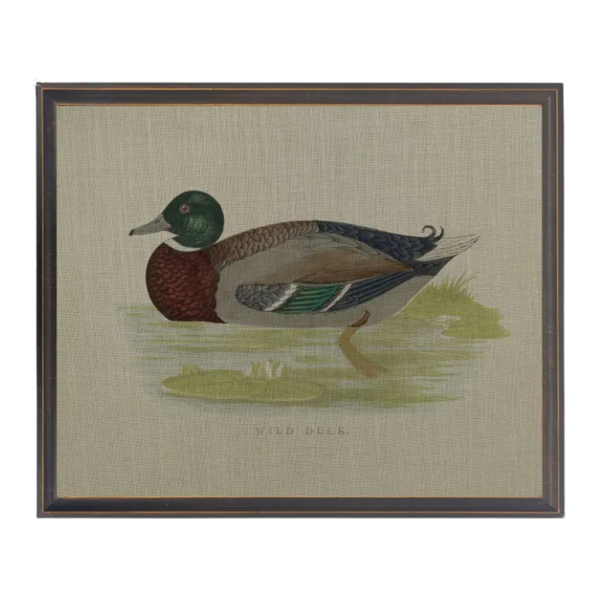 10" x 8" Framed Wild Duck Painting on Linen