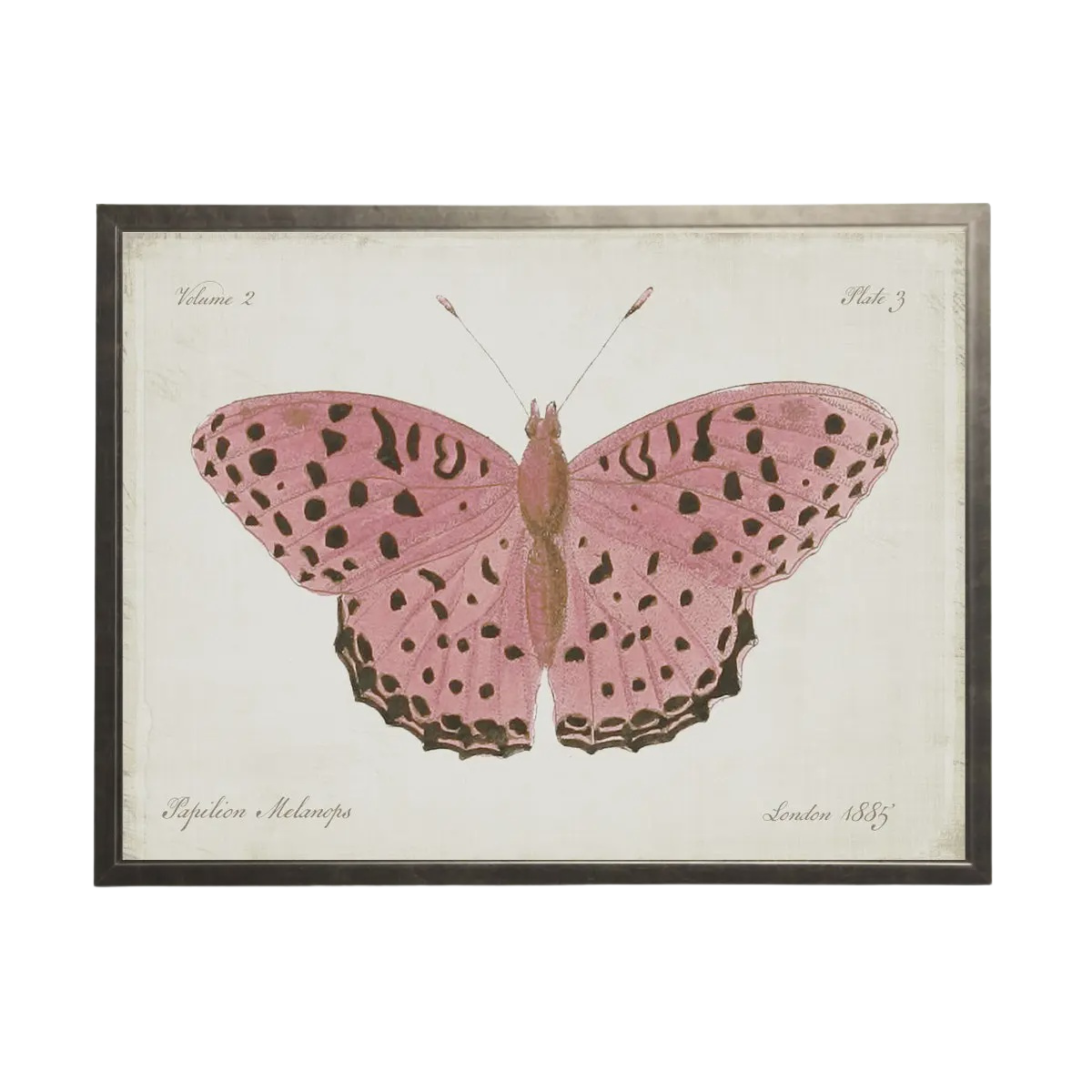 10 x 8 Pink Butterfly Print