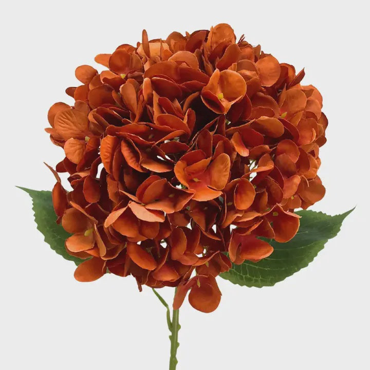 Full Bloom Hydrangea Stem – 27" | Burnt Orange