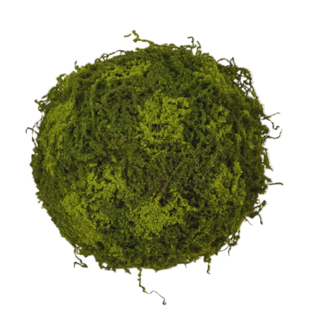 Moss Ball | 12"