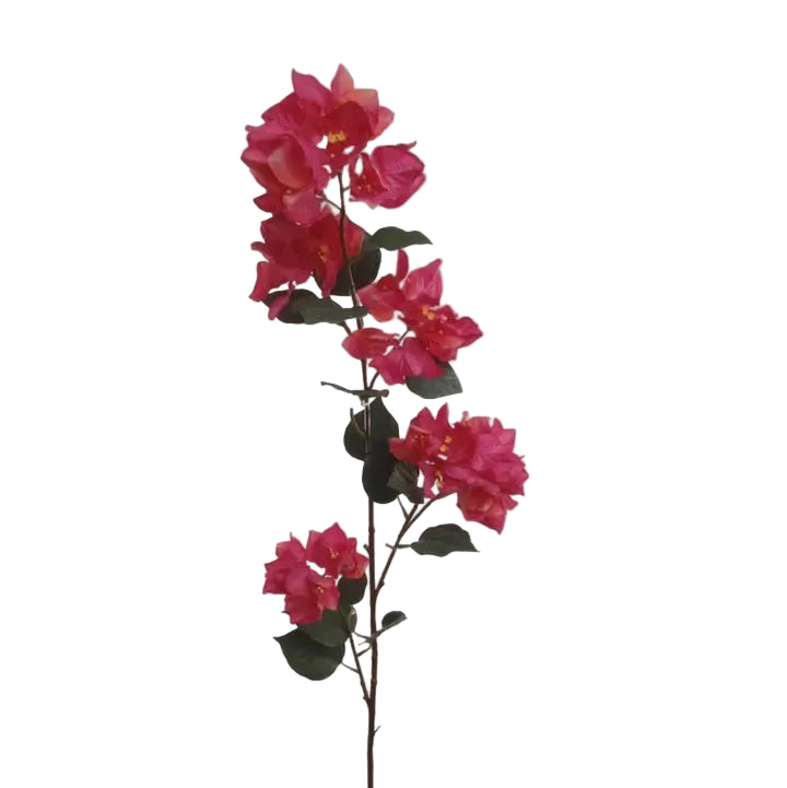48" Fuchsia Bougainvillea Spray