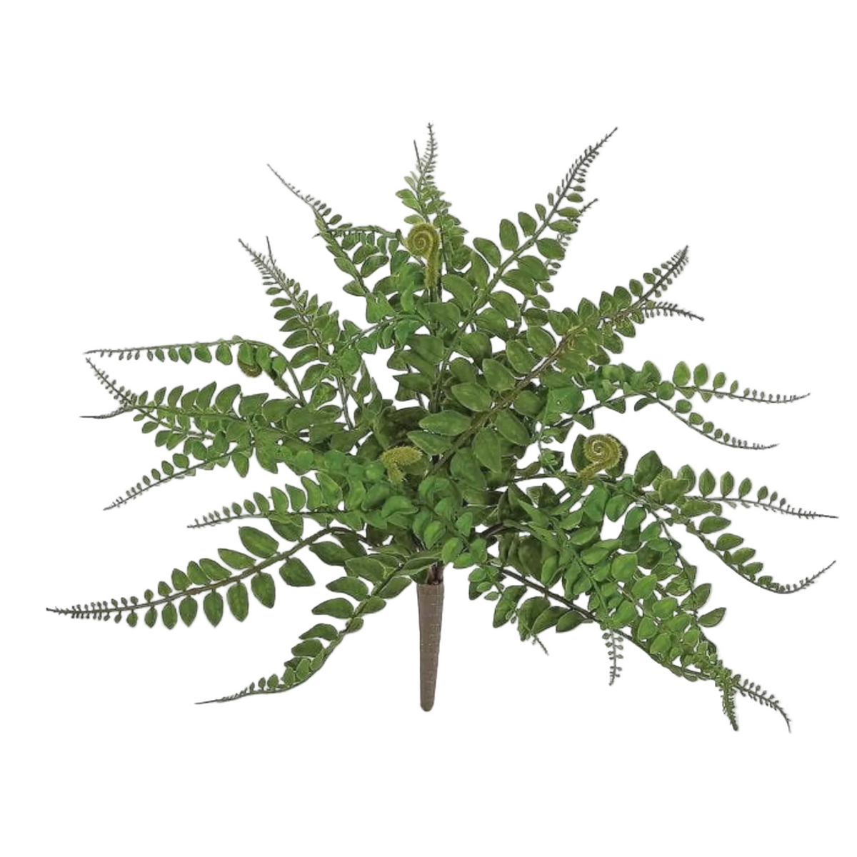Forest Fern Bush | 16"