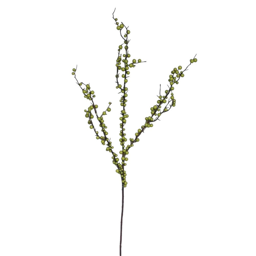 Ilex Berry Branch | 38"