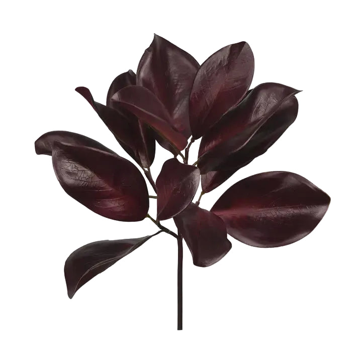 16" Merlot Magnolia Leaf Spray