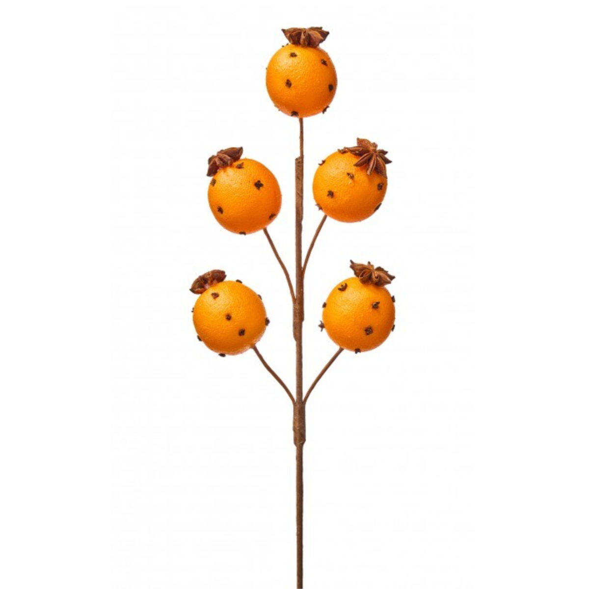 19.5" Orange with Clove Spray
