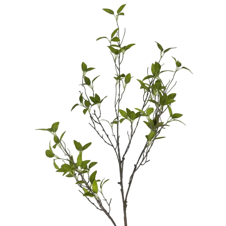 Wild Myrtle Branch – 46" | Green