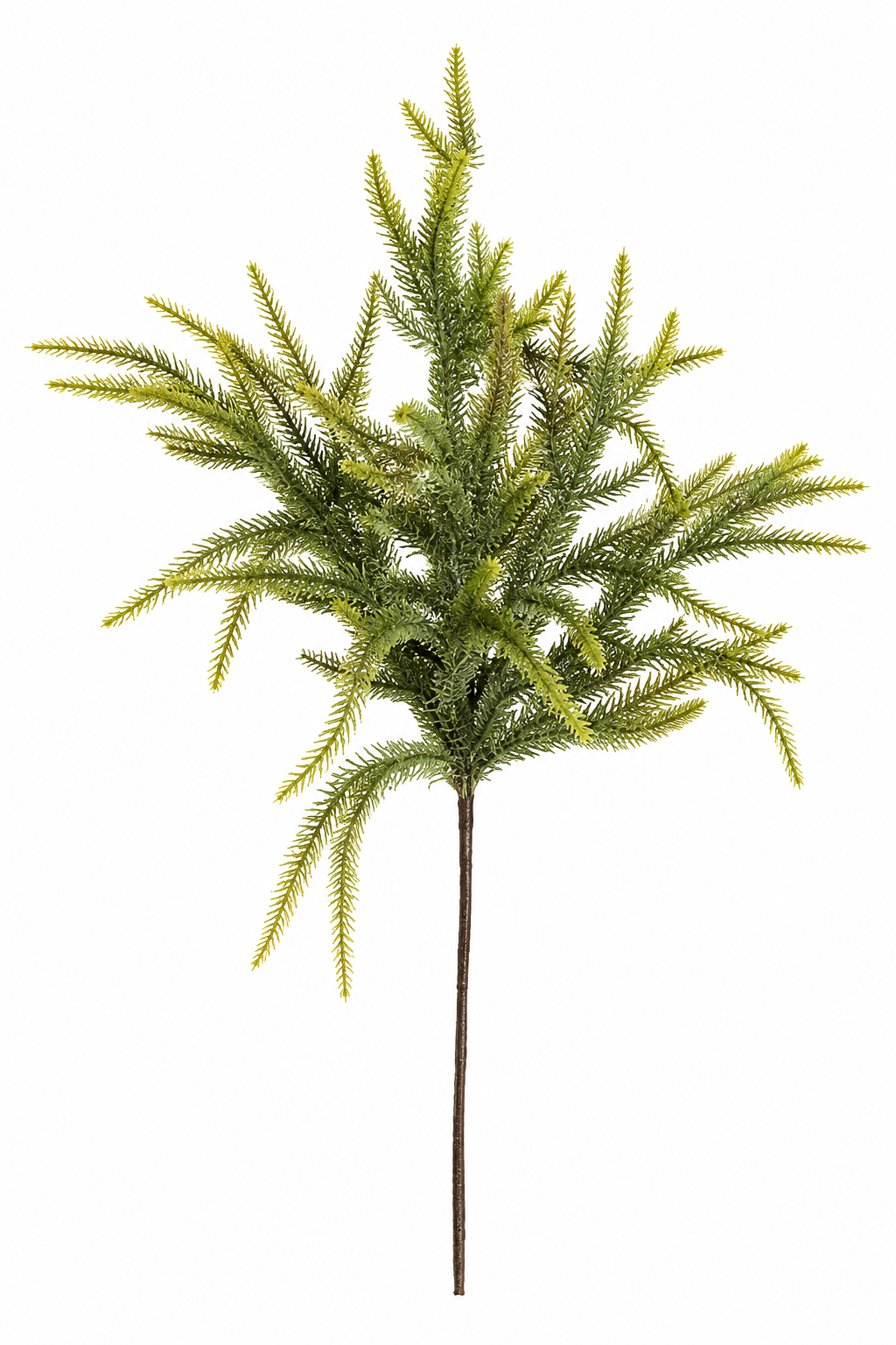 Juniper Branch – 22"