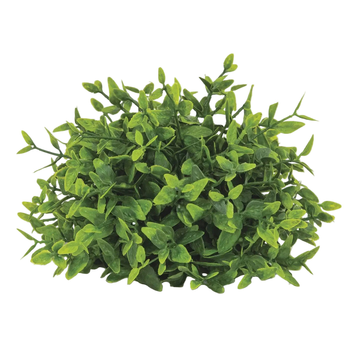 Lush Green Lemon Beauty Half Sphere – 5.5"