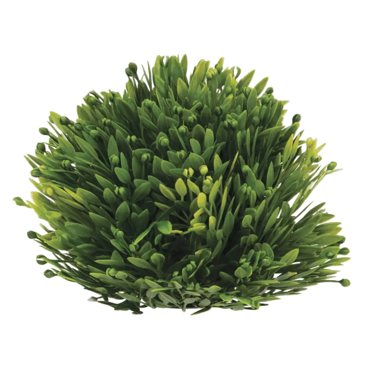 Seed Head Half Sphere 6"
