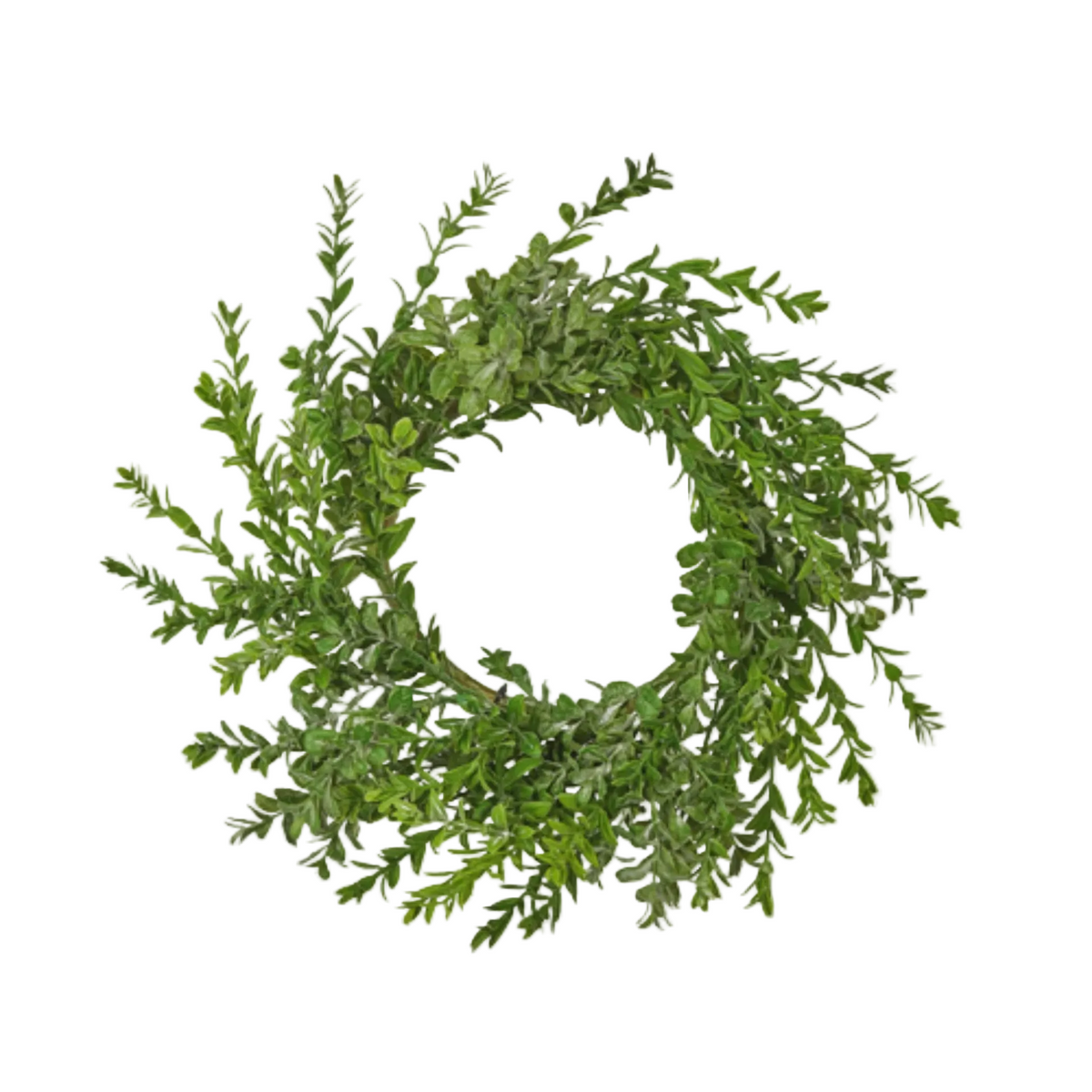 16" Boxwood Wreath