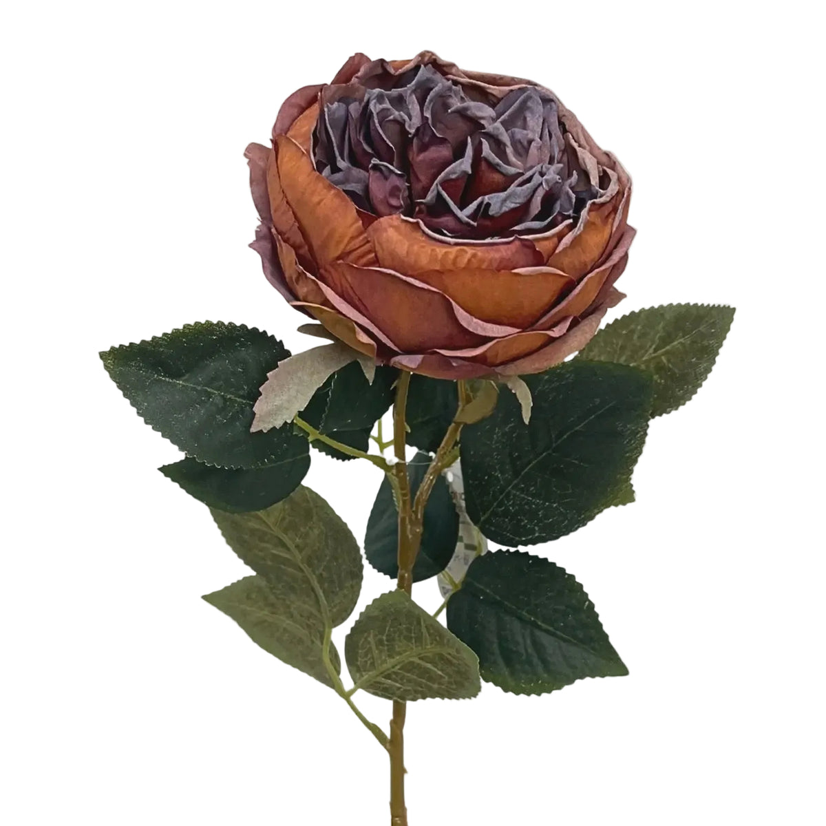 Faux Dried English Rose Stem – 24" | Copper & Plum
