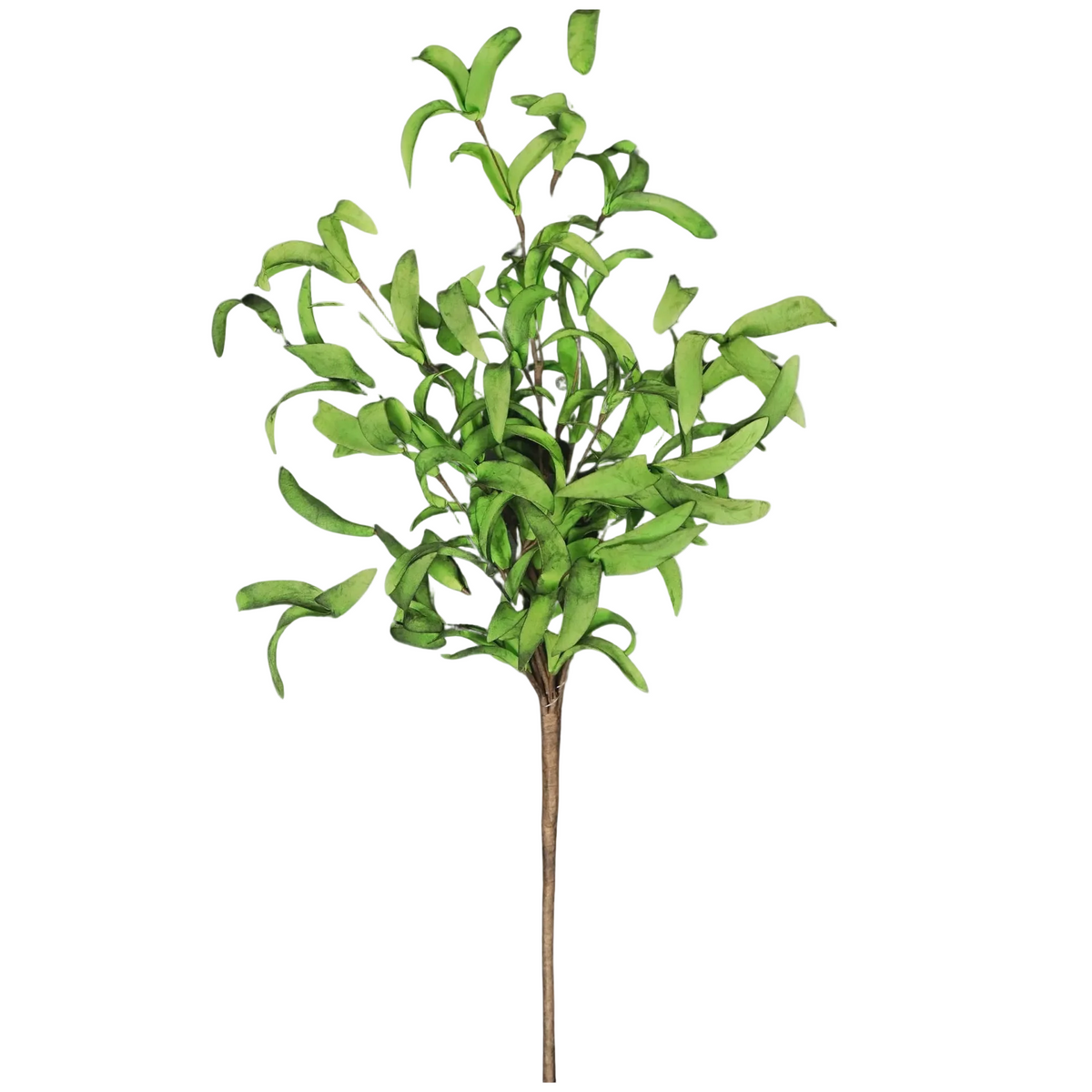 24" Spray Mix Green Herbs