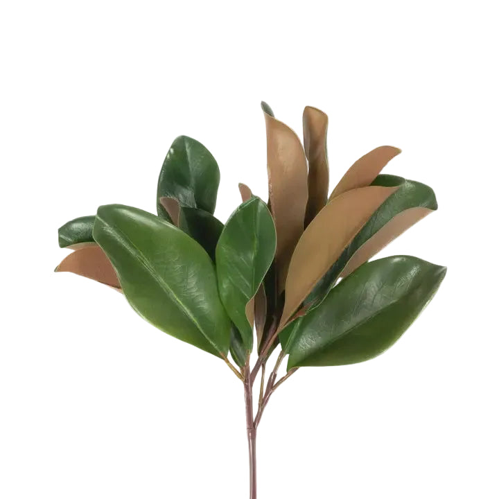16" Magnolia Leaf Spray