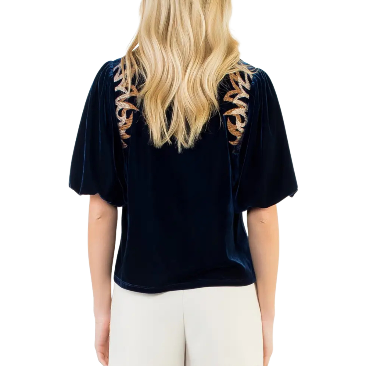 Puff Sleeve Velvet Embroidered Detail Top
