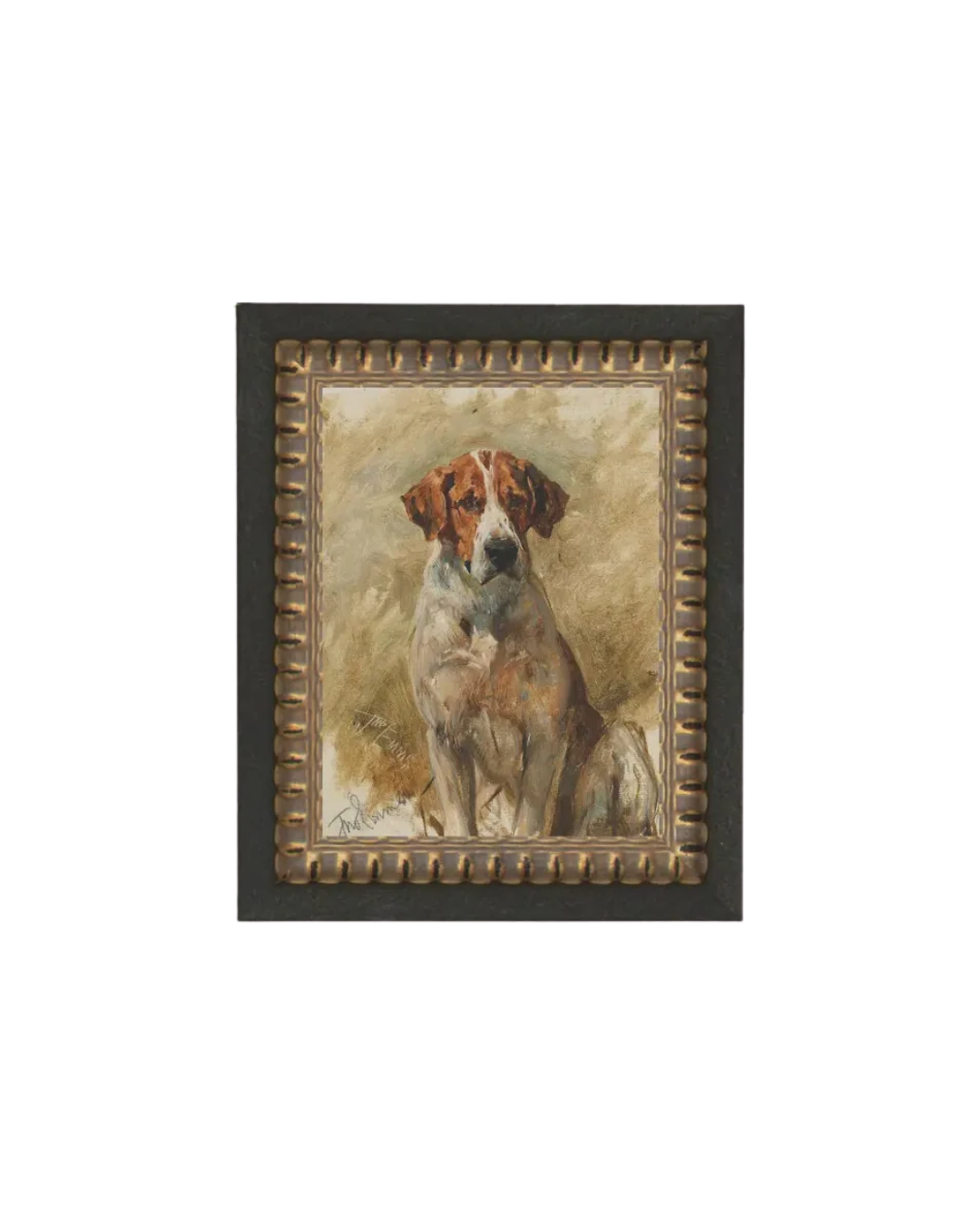 Study of a Hound: 8x10