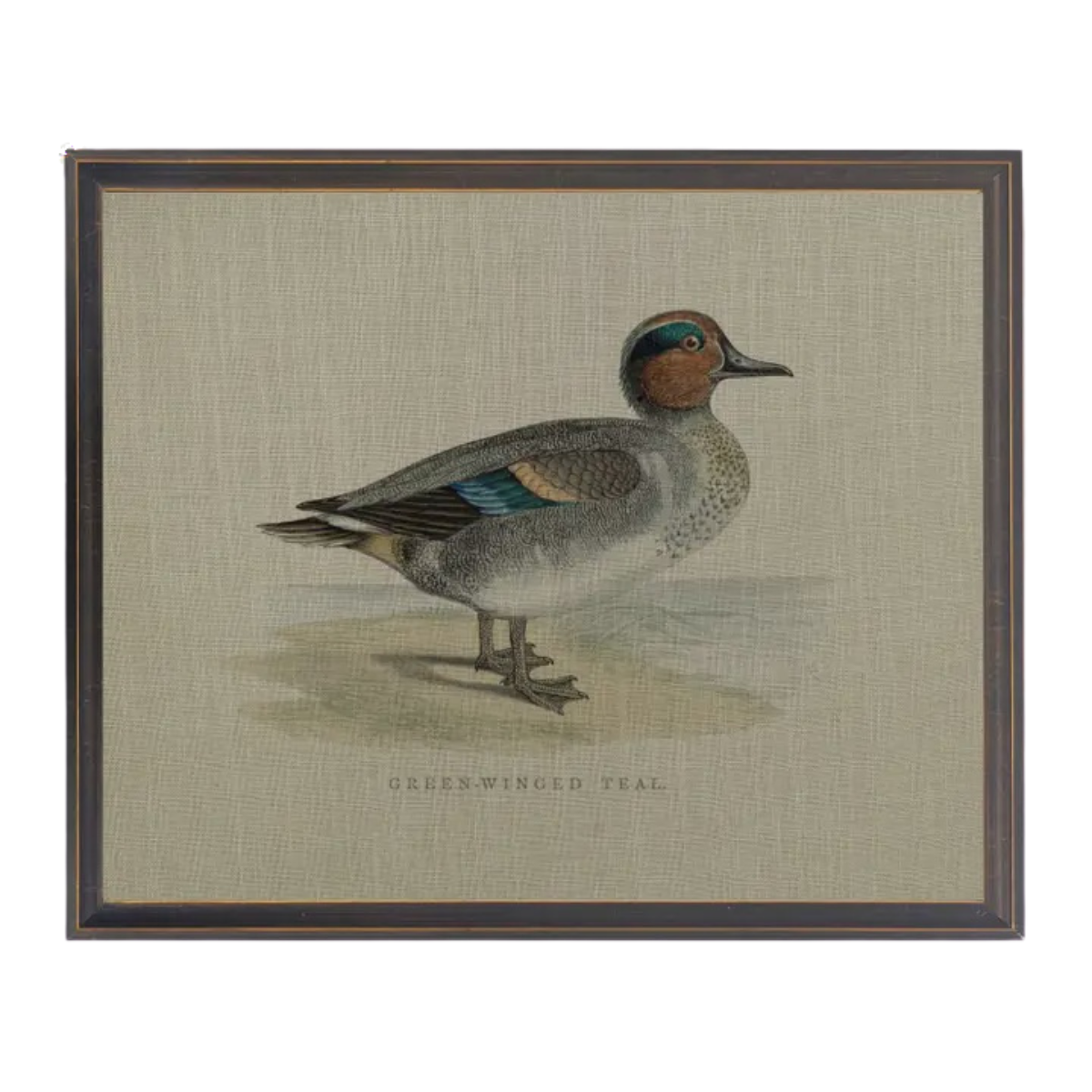 10" x 8" Green-Winged Teal Duck Painting on Linen