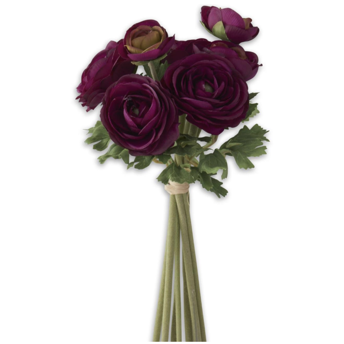 10 Inch Dark Purple Ranunculus Bundle